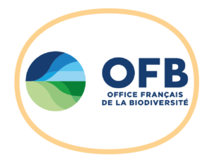 ofb_logo